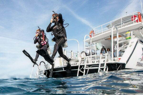 DiveWiz Diving Center in Hurghada, Daily Diving Services