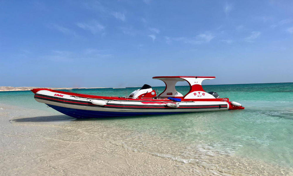 Private Speedboat trip to Dolphin House In Hurghada by DiveWiz Diving Center, Red Sea