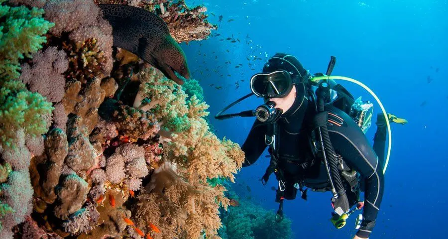 What is SCuba Diving explained by DiveWiz Hurghada Diving Center