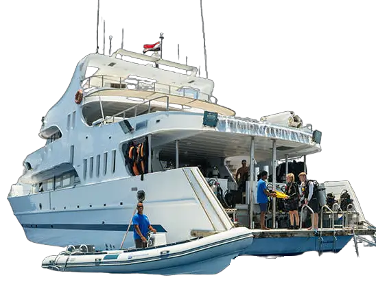 Daily Boat Diving Trips in Hurghada by DiveWiz Diving Center