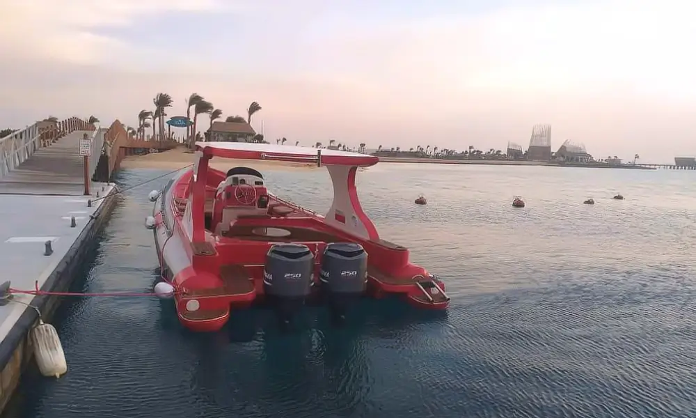 Speedboat Dolphin house trip In Hurghada by DiveWiz Diving Center