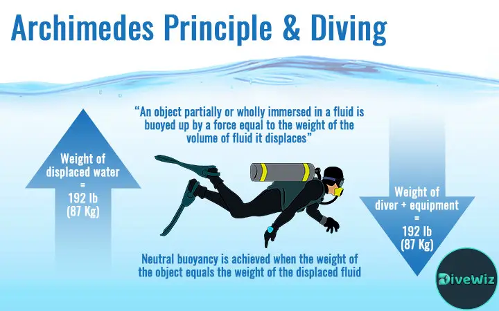 How to improve buoyancy control in scuba diving by DiveWiz Diving Center in Hurghada Red Sea of Egypt