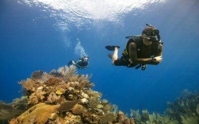 How to improve buoyancy control in scuba diving?